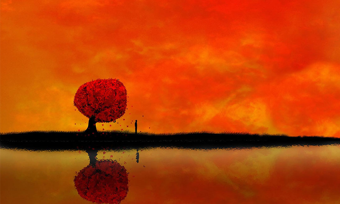 焦作笙影微信朋友圈转发案例